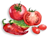 disegno di pomodori